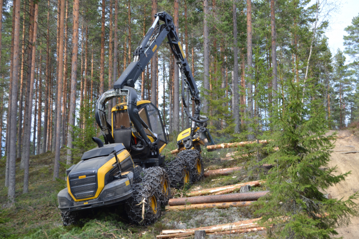 In terms of turnover, the region’s top industries are bioeconomy and forest and wood cluster (Kuva: Metsä-Multia Oy)