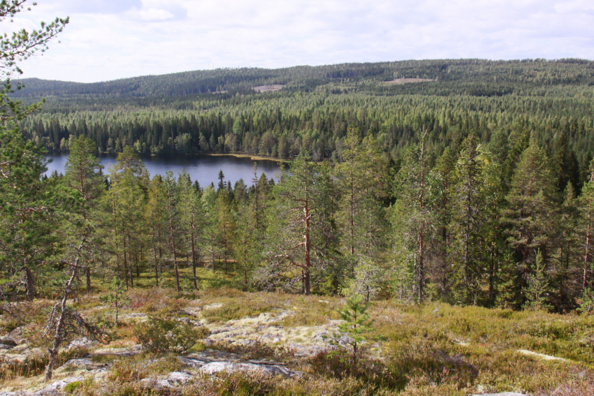 MIeslahden uimaranta kesällä