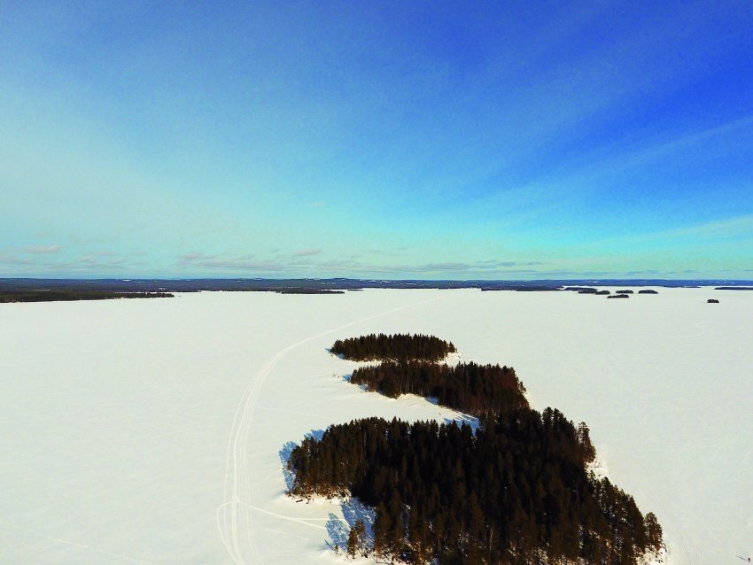 Perinteikäs Eino Leino -hiihto suunnitteilla Oulujärvelle 25.3.