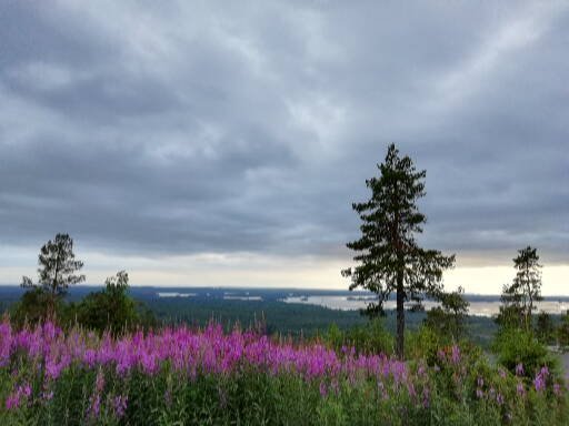 Kivesvaaralta on hienot näkymät Oulujärvelle