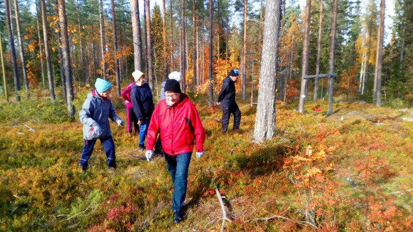 Avoimia liikuntaryhmiä, kuntosalikurssi ja palloiluryhmä ikäihmisille Lähiliikkuja-hankkeen syksyssä