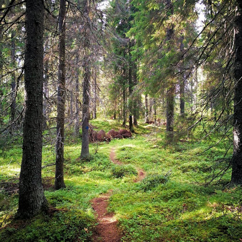 Vastaa kyselyyn liikunta- ja ulkoilupaikkojen käytöstä