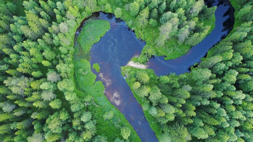 Yrityspalveluseteli kannattaa hyödyntää