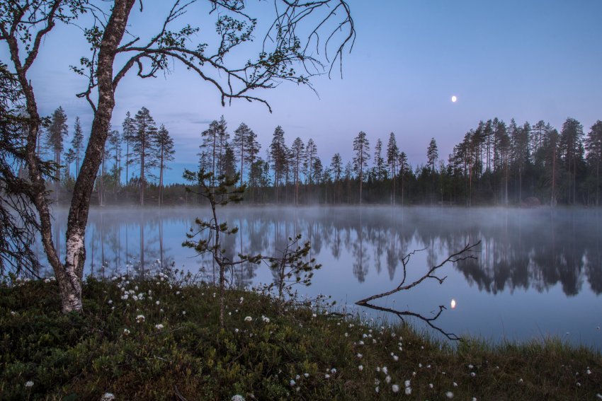 Kajaani, Sotkamo ja Paltamo käynnistävät aluemarkkinointiyhteistyön Unelmatodeksi -kampanjalla