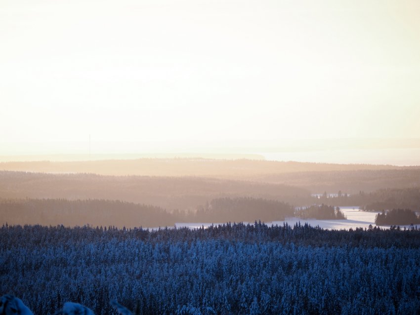 Joulukuun uutiskirjeemme yrityksille on julkaistu