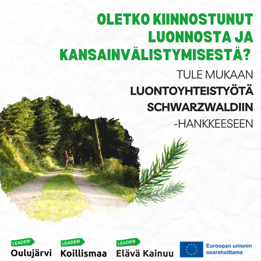 Luontoalan toimija, vielä ehdit hypätä mukaan luontomatkailua ja kansainvälistymistä kehittävään hankkeeseen!