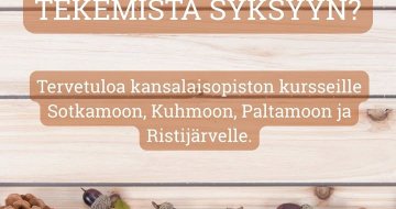 Paltamon kunta